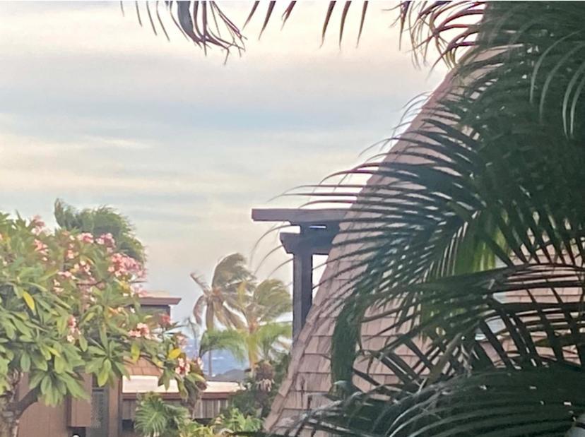 Charming 1 Bedroom Beach Condo Prime Location Great Value Pahala Luaran gambar